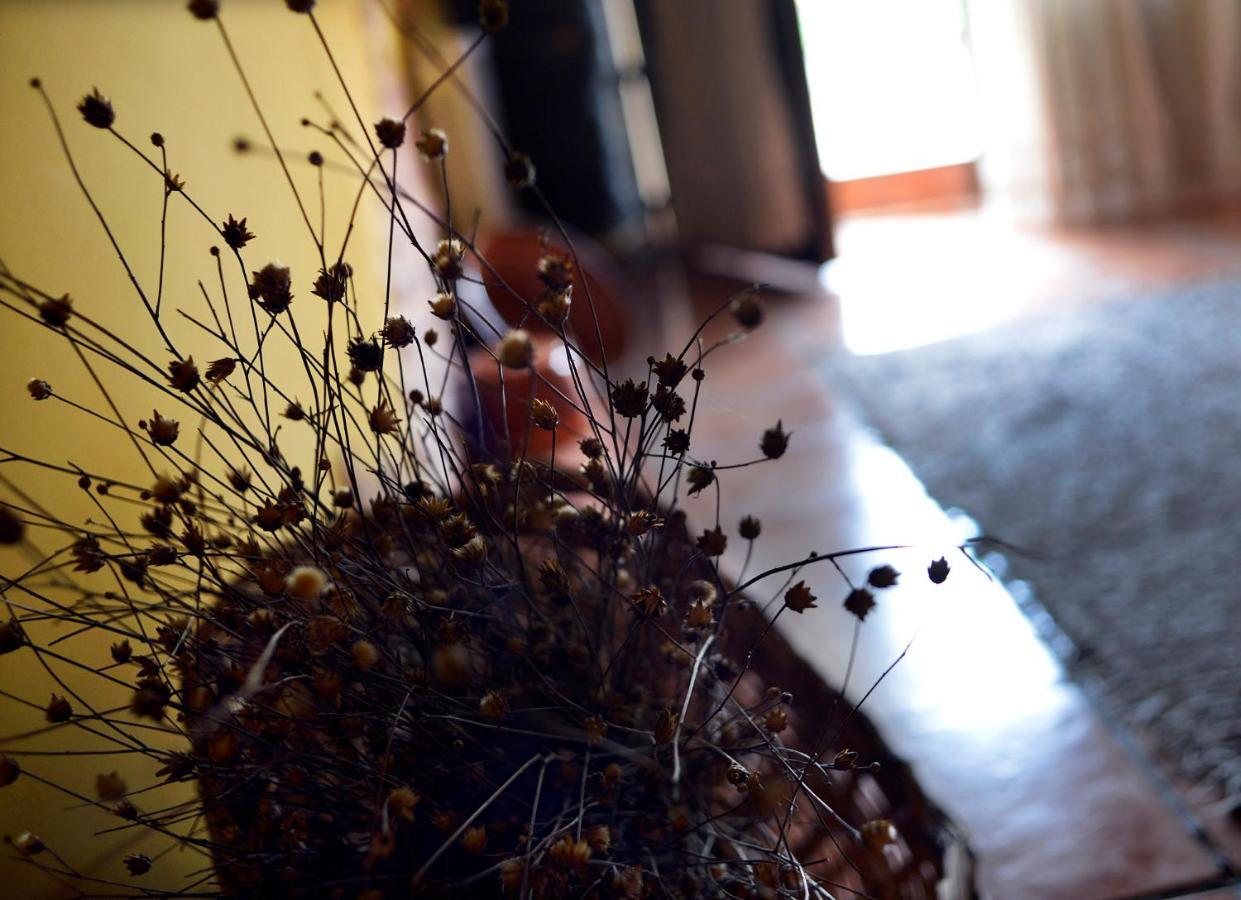 Pensjonat La Casita De Leire Tamajon Zewnętrze zdjęcie