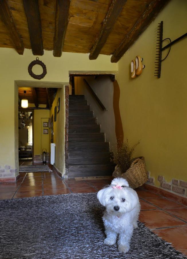 Pensjonat La Casita De Leire Tamajon Zewnętrze zdjęcie