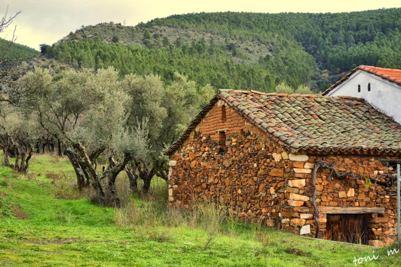 Pensjonat La Casita De Leire Tamajon Zewnętrze zdjęcie