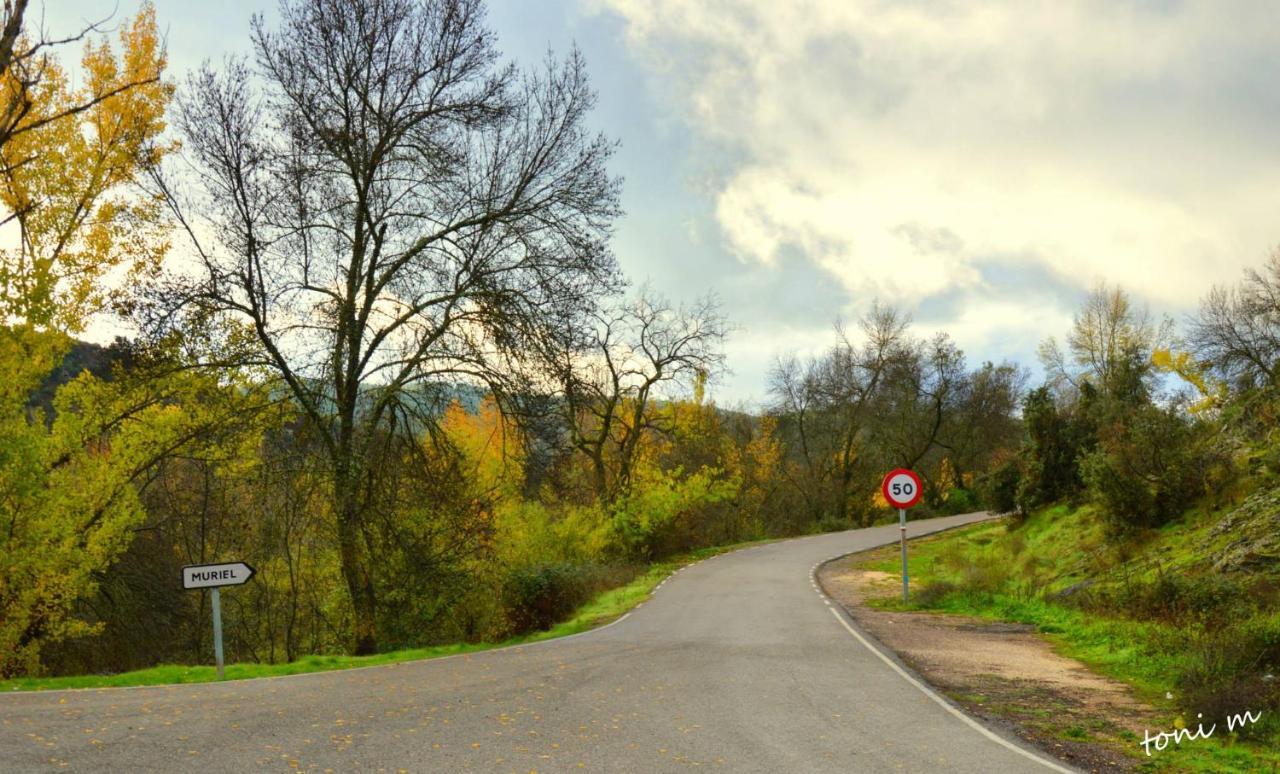 Pensjonat La Casita De Leire Tamajon Zewnętrze zdjęcie